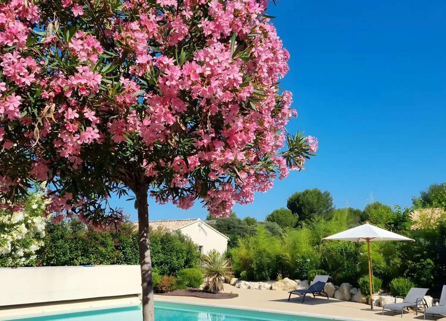 Bergeries Saumane, Les Lavandes